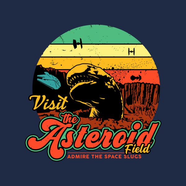 The Asteroid Field - Image 9