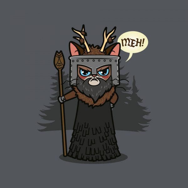 The Knight Who Says Meh - Image 4