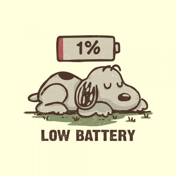 Low Battery - Image 14