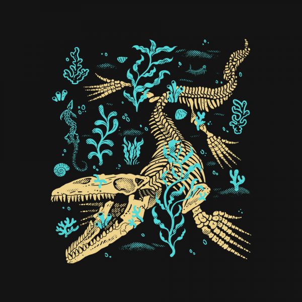 Mosasaurus Fossils - Image 4
