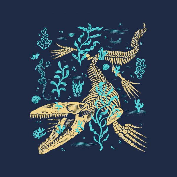 Mosasaurus Fossils - Image 8
