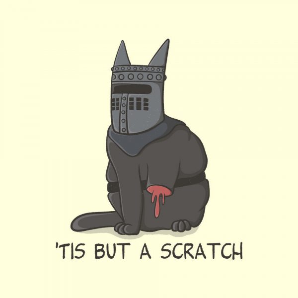 Tis But A Scratch Cat - Image 12