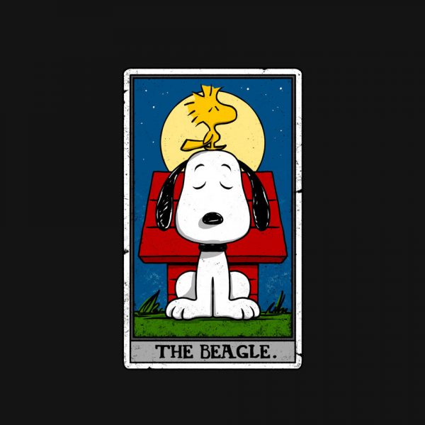 The Beagle - Image 4