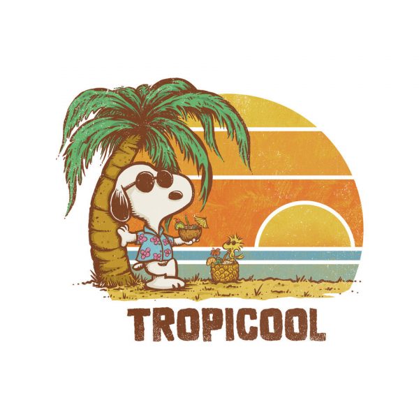Tropicool - Image 8