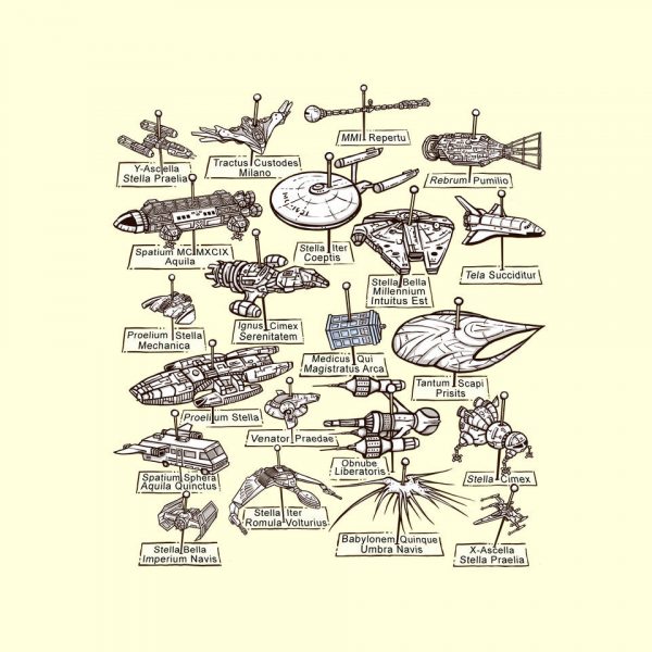The Collection - Image 4