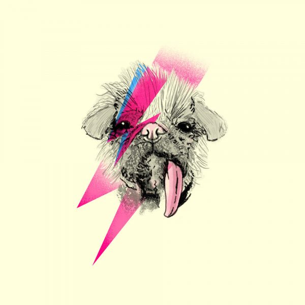 Adogin Sane - Image 8
