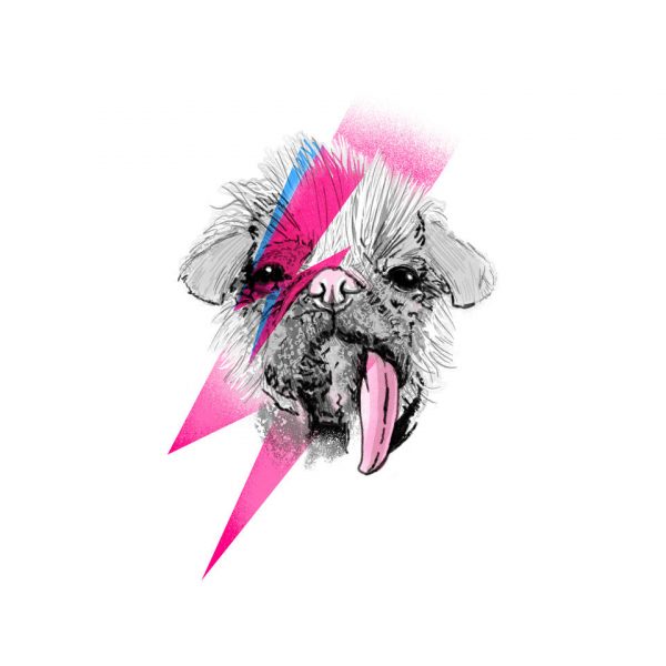 Adogin Sane - Image 4
