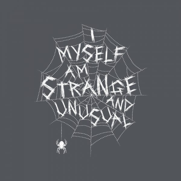 Strange And Unusual Web - Image 12