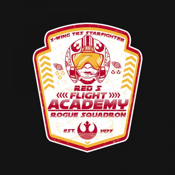 T65 Flight Academy - Image 4