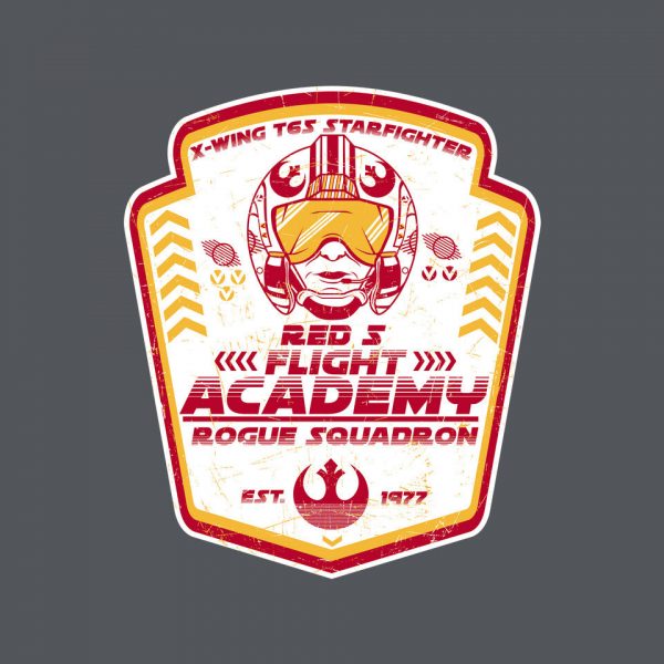 T65 Flight Academy - Image 8