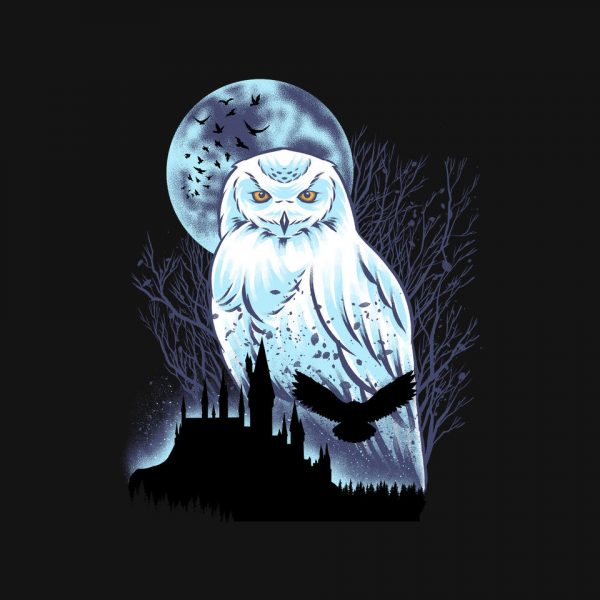 Snowy Owl - Image 4