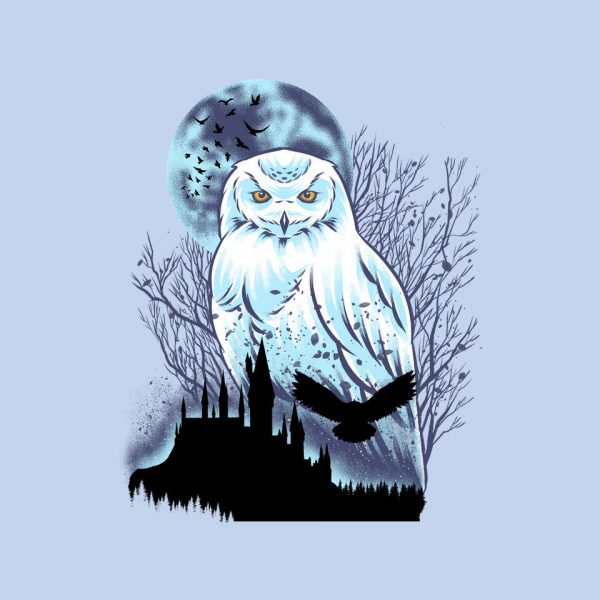 Snowy Owl - Image 12