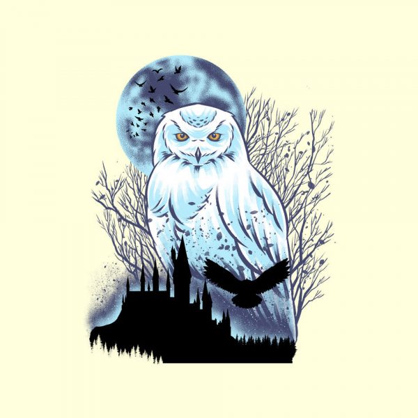 Snowy Owl - Image 16