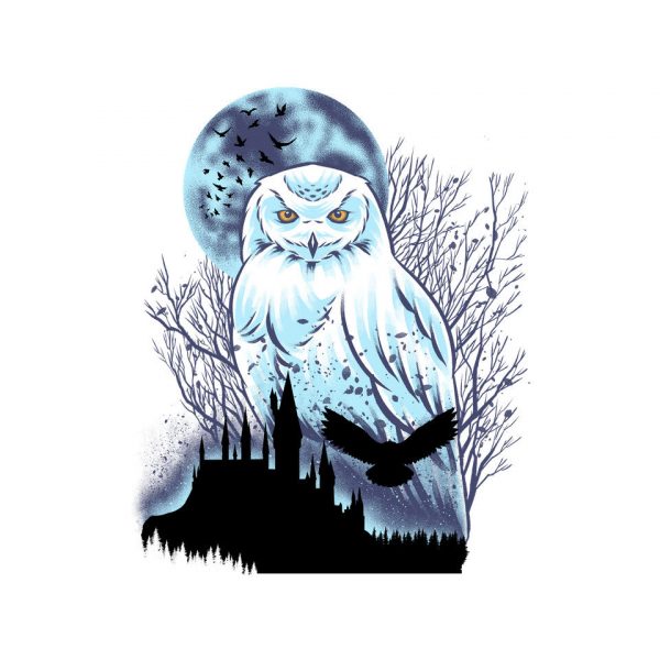 Snowy Owl - Image 8