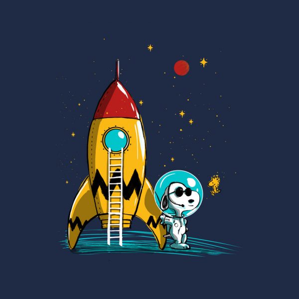 Space Explorer - Image 8