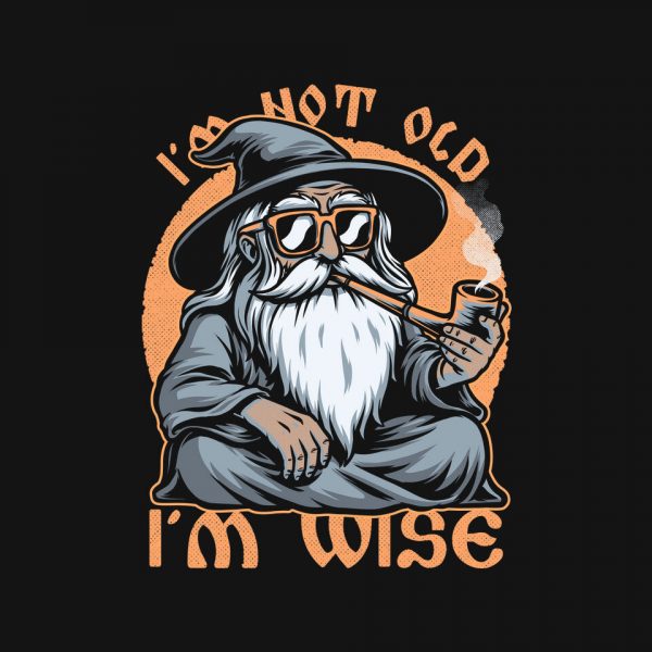 Wise Old Wizard - Image 4