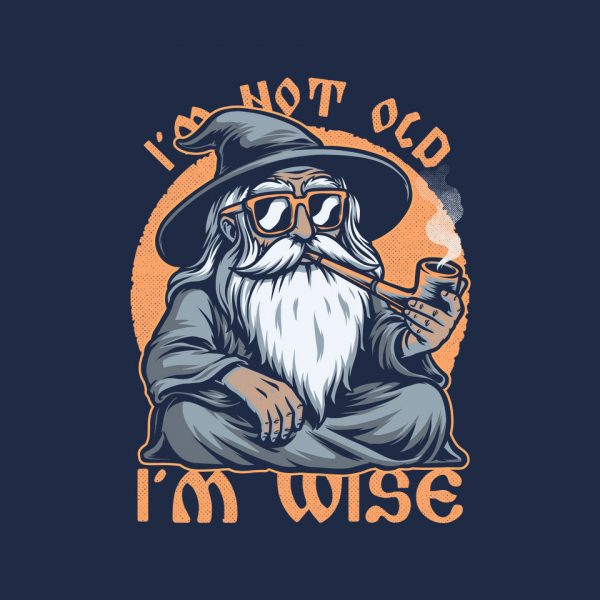 Wise Old Wizard - Image 8