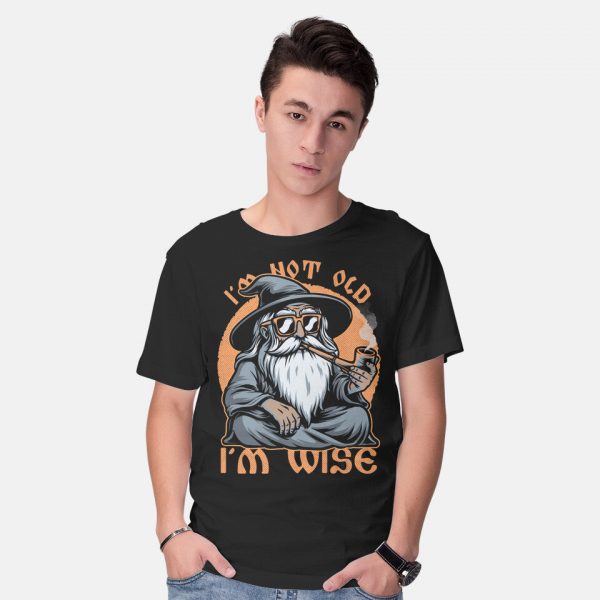 Wise Old Wizard - Image 2