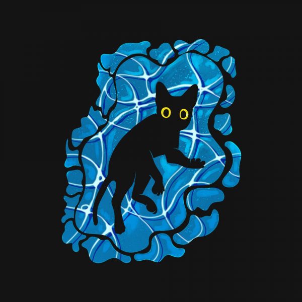 Cat Underwater - Image 4