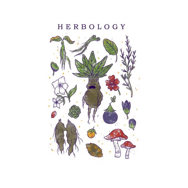 Herbology Class - Image 4