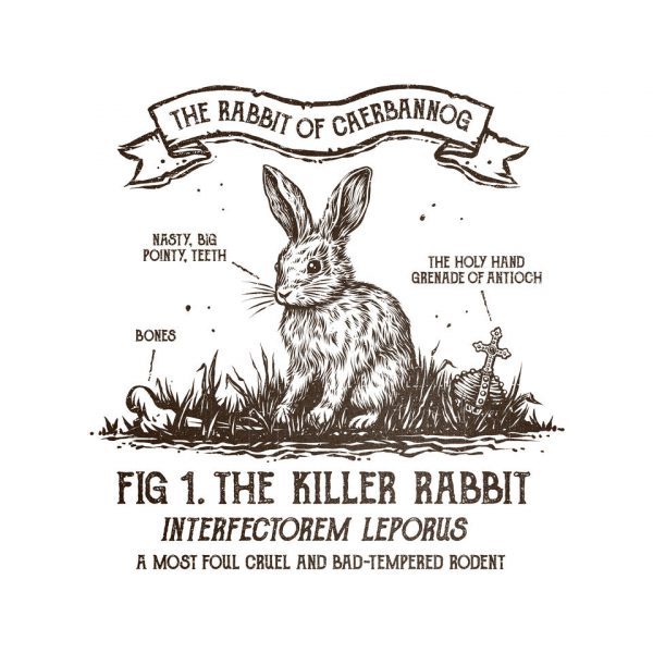The Rabbit Of Caerbannog - Image 9