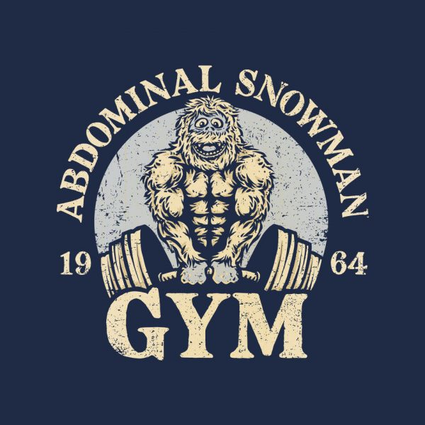 Abdominal Snowman Gym - Image 8