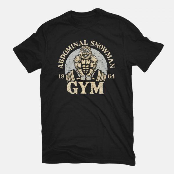 Abdominal Snowman Gym - Image 3