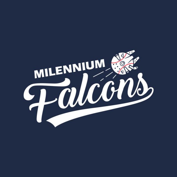Falcons - Image 8