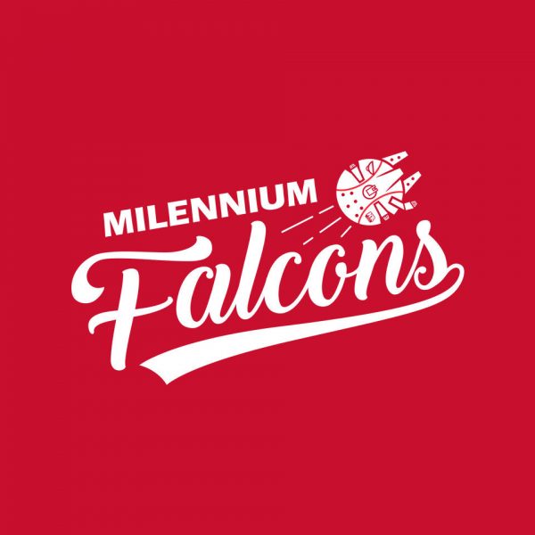 Falcons - Image 12