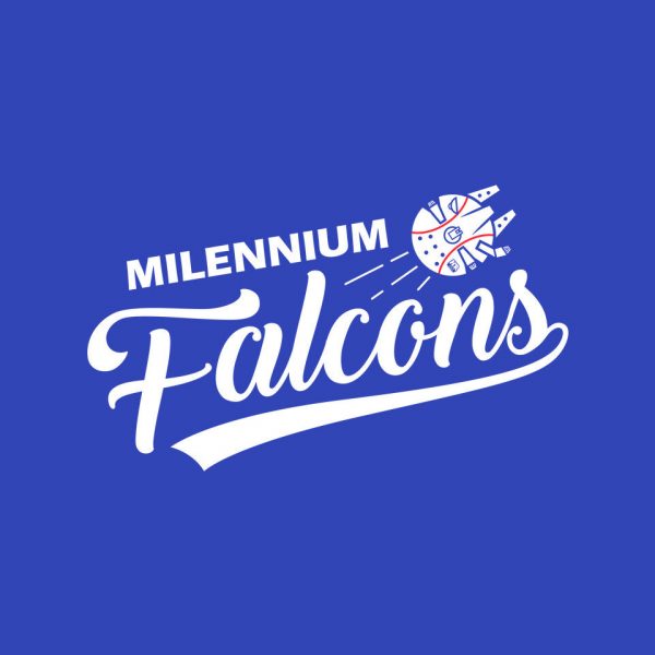 Falcons - Image 4