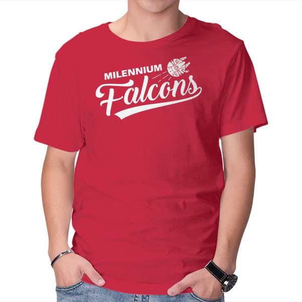 Falcons - Image 9