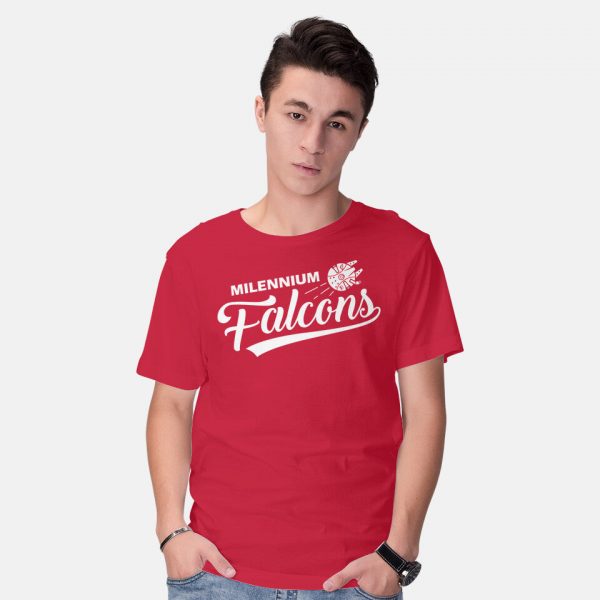 Falcons - Image 10