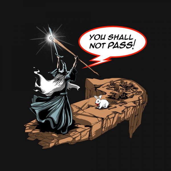 You Shall Not Pass Rabbit - Image 4