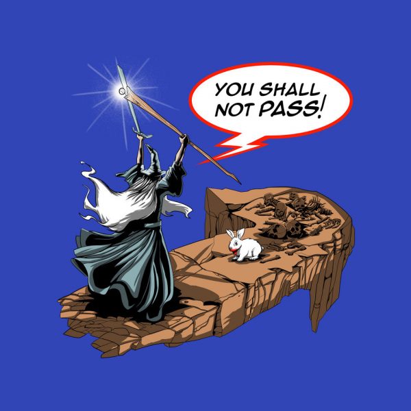You Shall Not Pass Rabbit - Image 16