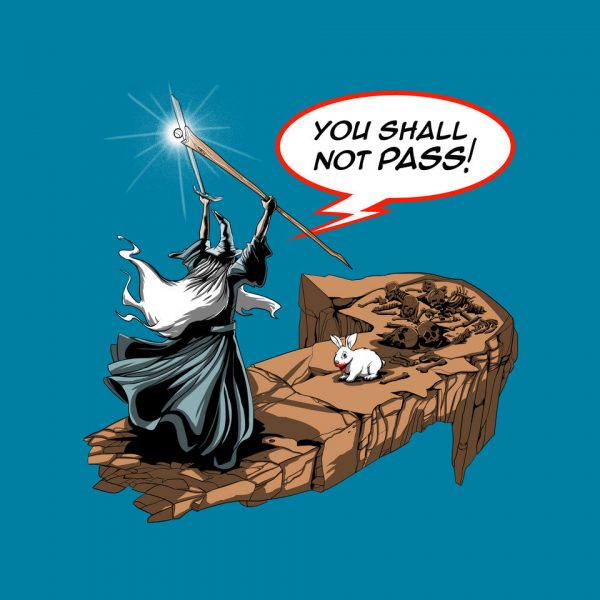 You Shall Not Pass Rabbit - Image 20