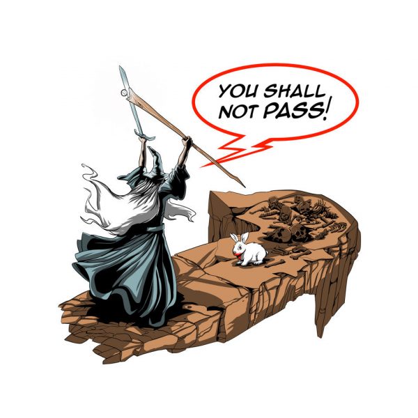 You Shall Not Pass Rabbit - Image 12