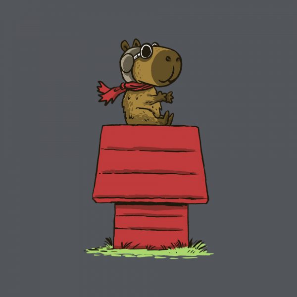 Snoopybara - Image 8
