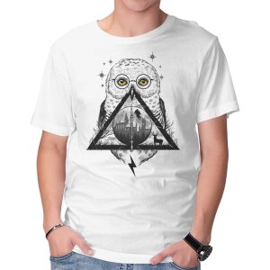 Owls and Wizardry