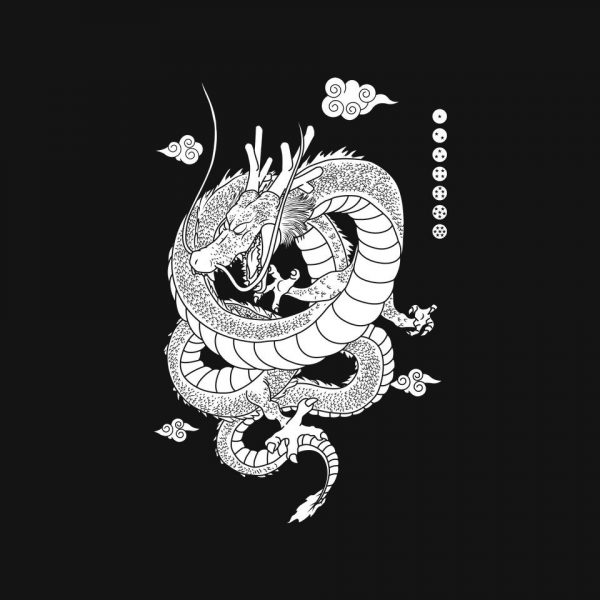 Shenlong - Image 15