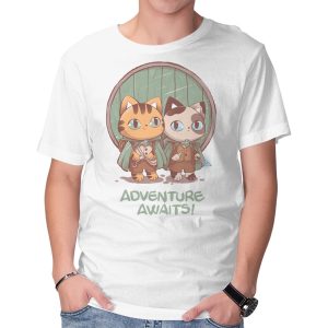Kitten Adventure Awaits