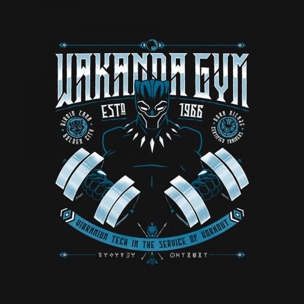 Wakanda Gym - Image 4