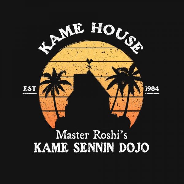 Kame House - Image 4