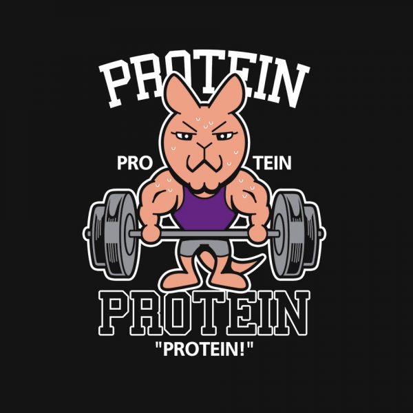 Protein Gym - Image 4