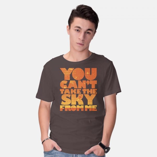 You Can't Take the Sky - Image 10